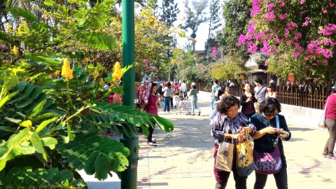 檜意森活村外景