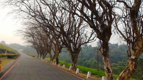 シャンゼリーゼ通り