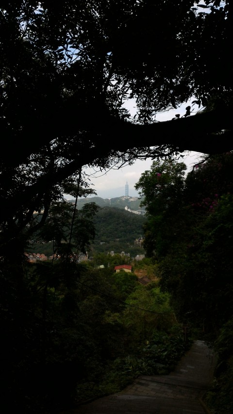 純陽寶殿から降る階段途中に見る台北101