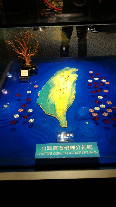 台北101　88階　珊瑚分布図