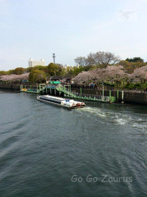 大阪城ホール前の水上バス発着場と桜