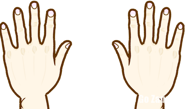 両手と爪