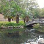 嘉義公園4