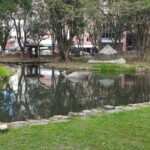 嘉義公園6