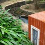 嘉義公園7