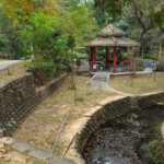 嘉義公園10