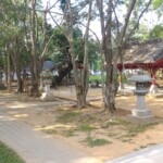 嘉義神社　参道
