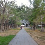 嘉義公園11