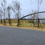 故宮博物院南院5
