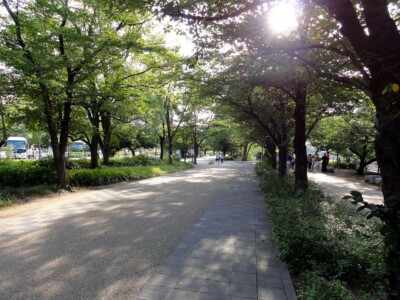 城南バス駐車場側の通路