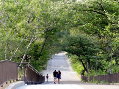 梅林西側の坂道２