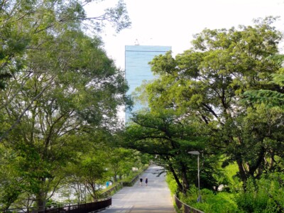 梅林西側の坂道