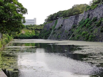 内濠東側