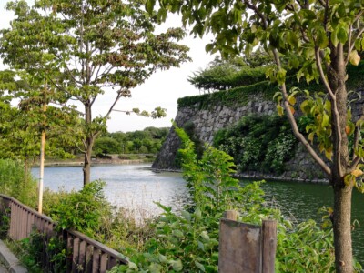 木立と内濠
