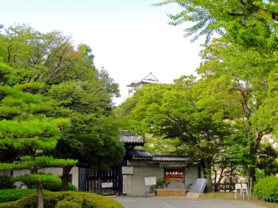 西の丸庭園入り口と天守閣