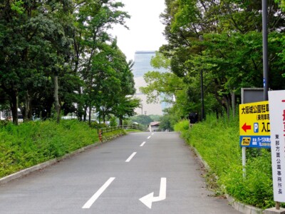 南側駐車場進入路