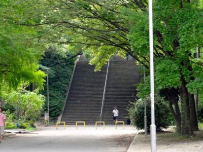 音楽堂横の階段