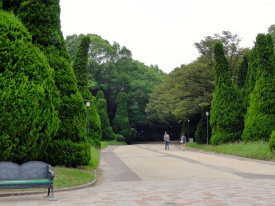 噴水から市民の森