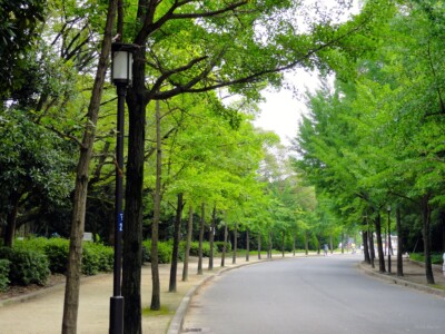 市民の森３
