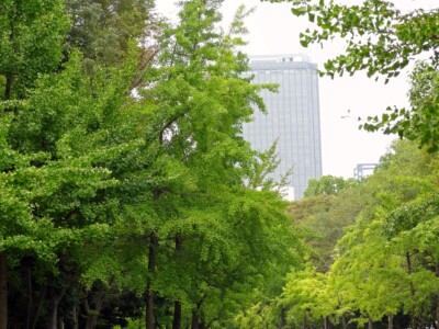 市民の森２