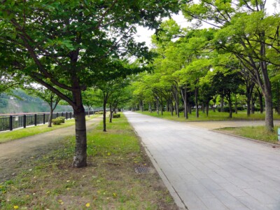 記念樹の森