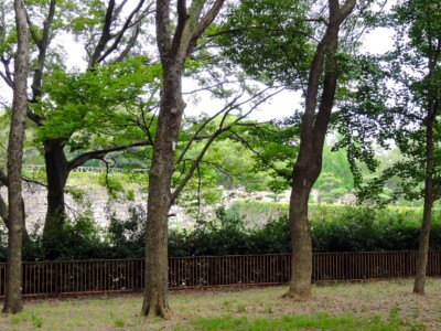 北外濠と京橋口