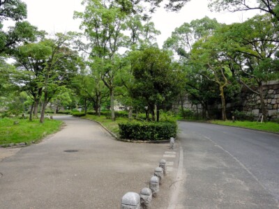 京橋口から入った、西の丸北側の広場