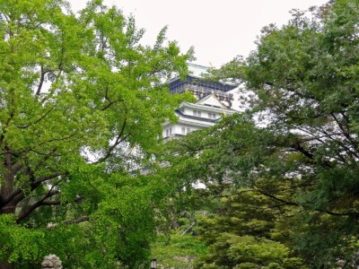 木立の向こうに天守閣