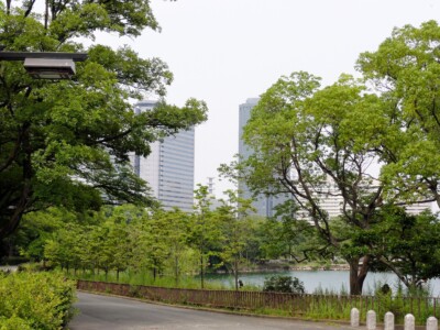 木立の向こうにOBP