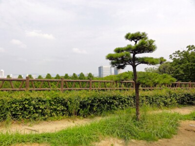 玉造口出たところ東側