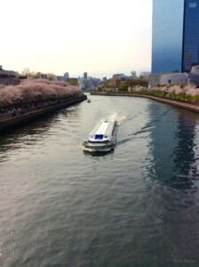 水上バスと桜