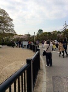 玉造口からの道と桜