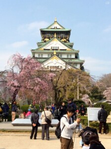 天守閣と桜
