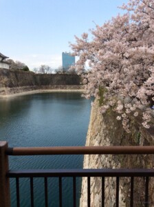 桜と一番櫓