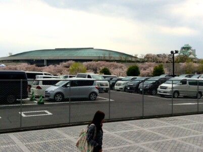 OBPから桜と大阪城ホールと天守閣