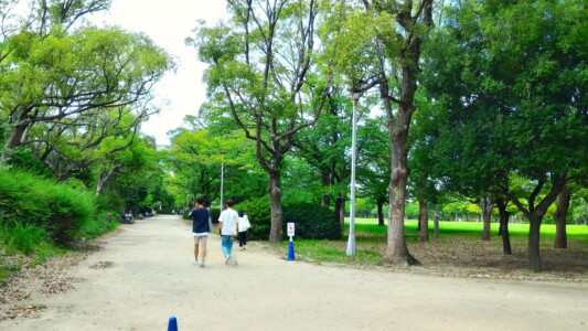 西の丸公園西側