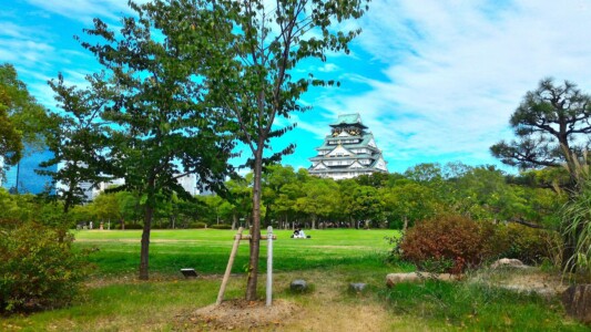 西の丸庭園から天守閣