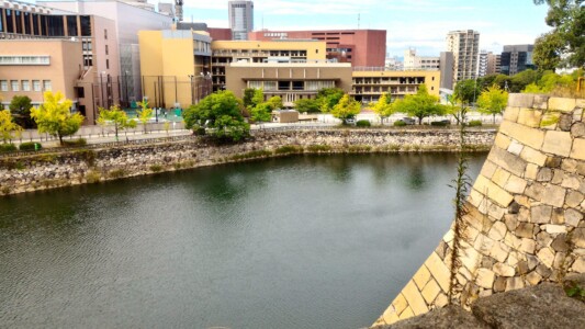 西の丸庭園から向こうに日経新聞本社