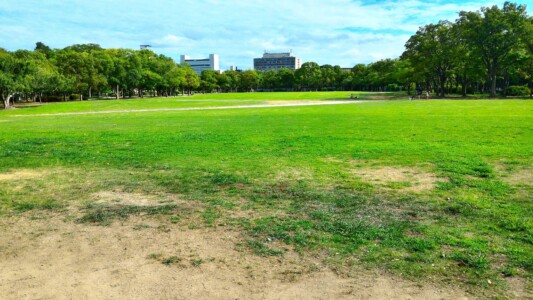 西の丸庭園、北側から南側を見る