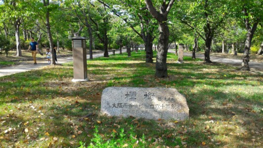 桜樹