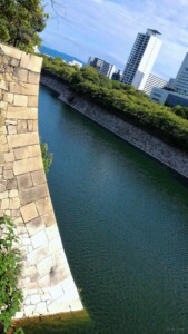 修道館裏から南外濠と石垣の高さ