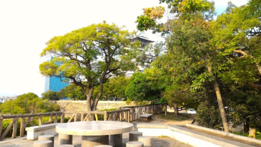 大阪城本丸西側石垣上