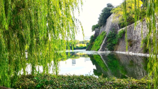 大阪城東内壕