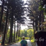 台北市立植物園