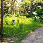 台北市立植物園