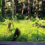 台北市立植物園