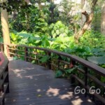 台北市立植物園