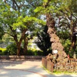 台北市立植物園