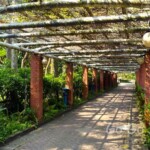 台北市立植物園