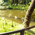 台北市立植物園